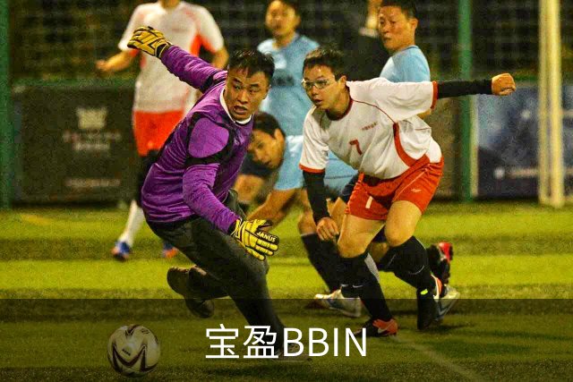 宝盈BBIN公司简介